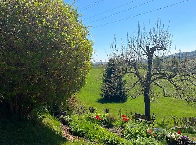 Michaela Daire Turnov